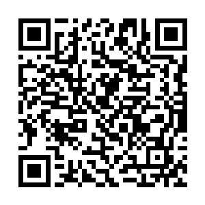 王梦龙拨通了主要为自己服务的政府办副主任的电话二维码生成