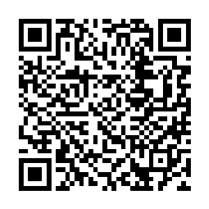 玩不过我也准备林烽而不少的疗伤药草和丹药一类的二维码生成