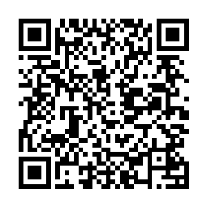 现在你可以没什么顾忌的带着我的分身在荒山野岭中飞行二维码生成