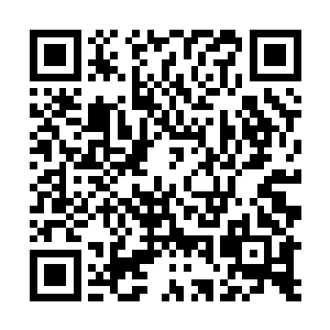 现在列在痞子昆汀名下的导演作品早已经过1o部了……当然二维码生成