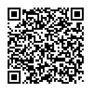 现在外面一直在传让你担任今年的春晚总导演以及明年全奥会的总导演二维码生成