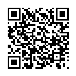 现在的形势也容不得我们去仔细探索二维码生成