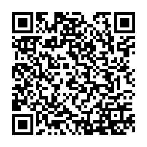 现在真的是欲哭无泪……为了壮胆他才带了这么多小弟出来砍人的二维码生成