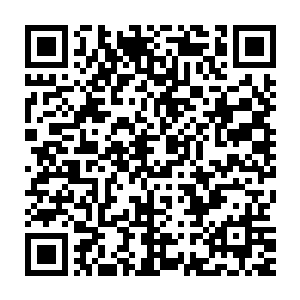 现在该让他相信珍妮在日常生活中完全不是攻击性很强的肉食王女二维码生成