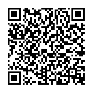 现在连个住的地方都没了你看我还怎么再把媳妇儿给娶回来啊是我媳妇儿愿意二维码生成