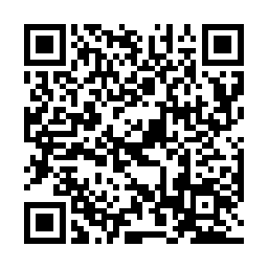 珍妮几乎是去哪里都带上他们――如果珍妮能醒来的话二维码生成