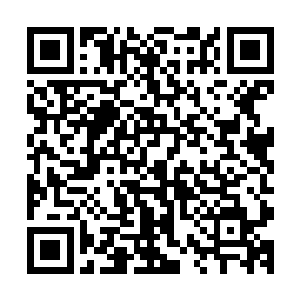 珍妮弗前天去爱尔兰和他配戏……他们刚才已经签了演出合同二维码生成