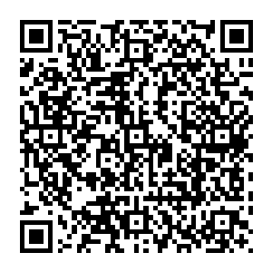 珍妮弗的粉丝当然找了各种借口来为偶像辩解――虽然他们也不理解为什么珍妮弗会说出这样的疯话二维码生成