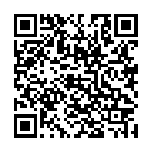 珍妮的确得掂量掂量想要和迪士尼本部撕破脸的成本了二维码生成