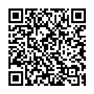 珍珠六港和千帆之城繁华无比的世界在等着每一个到访的客人二维码生成
