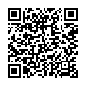 甚至如果把他放在墨修尧的位置他早就将苏醉蝶碎尸万段了二维码生成