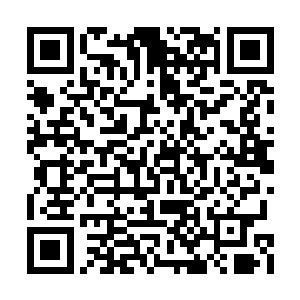 甚至得到厉灵风的信任――至少是表面上的信任二维码生成