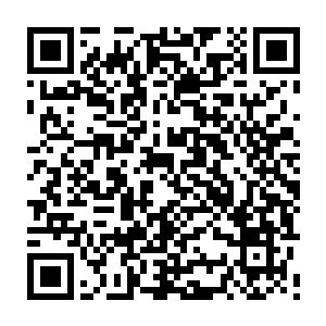 甚至最强者可以和猛犸巨象角力……而这种变身秘技就是维京人的不传之秘二维码生成