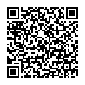 甚至有可能早就被那样的痛苦和折磨打击的颓废了或是被仇恨吞噬而变得疯狂了二维码生成