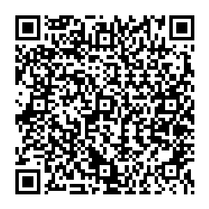 甚至还要将王林的罡气领域都完全覆盖掉……这是实力可怕的至尊强者的优势和压迫力所在的二维码生成