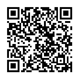 用手不轻不重的拍打了几下仿古木制大门上的铜环二维码生成