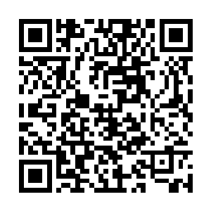 疾驶中的重型卡车似乎根本不在意横在路上的栏杆二维码生成