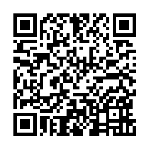 白修确实比我们更加刻苦――他不是燕子坞的人二维码生成