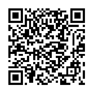 目前公司通过他们所赚到的总代言费用大约是一千六百万二维码生成