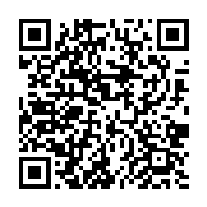 直到现在他们也不知道老大心里的行动计划到底是什么二维码生成