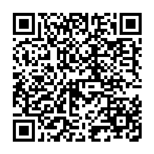 看着他们仰望的医学界新星史密斯刘居然给一个完全没见过的小伙子下跪二维码生成