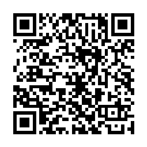 看着审讯室里吊着的血淋淋没有了表皮还在蠕动的东西二维码生成
