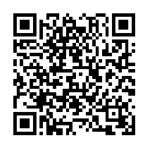 看着简羽淳被坑得死惨死惨还一副全然不知的模样二维码生成