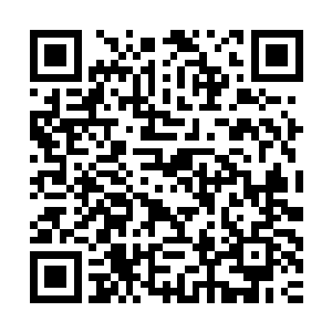 看老娘见了你不抽了你的筋扒了你的皮喝干你的血把你碎尸万段二维码生成