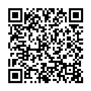 真想不到下界的修士们成立了同乡会聚在了一起二维码生成