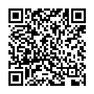 真正的他的灵魂再次从吞噬兽的触须缠绕中钻了出来二维码生成