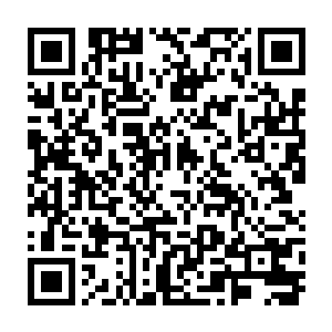 真正让他们成为无数人谄媚和依附是因为他们与国家机器之间有千丝万缕的联系二维码生成