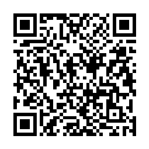 眨动的睫毛……咦……自己真的伸出舌头舔他的舌头来着二维码生成