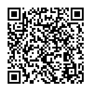 眼下……若是系统判定他们的实力连个陪审员或时官都不如……那也太无趣了二维码生成