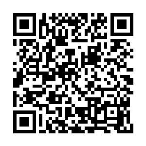 眼看着他们已经没办法把活生生的张大牛抓回去二维码生成