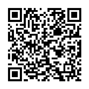 眼神里用一种赵纯良经常可以从恶的眼里看到的不屑看着赵纯良二维码生成