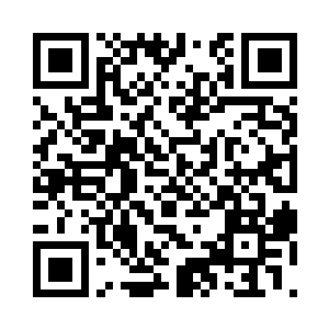 确实不会碰到什么猛兽毒蛇这样的困扰二维码生成