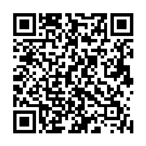 确实能够令灵草精粹在直接撞击的时候不会发生任何的危险二维码生成