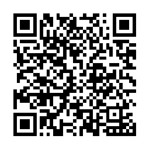神州政府和赵纯良一起商议之后采用了金蝉脱壳的手法二维码生成