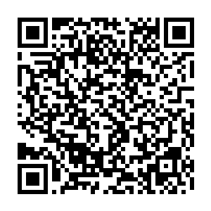秀美的嘴唇……一切的一切在安妮的脸上搭配在一起都是如此的完美……二维码生成