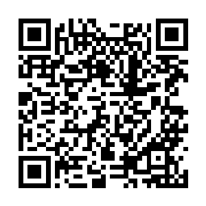 秘社的策略家为了这次行动制定了完美的撤离方案二维码生成