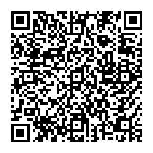 秦方特地将今晚击杀的两位大师级巅峰高手所获得的巨额经验值全部都用在了兑换天魔神功的熟练度上面了二维码生成