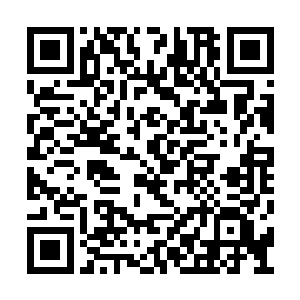 秦方的决定就完全不一样了……他不是什么好人二维码生成