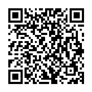 秦林认为通常刺客不会用这么没有把握的方法来刺杀一位指挥使二维码生成