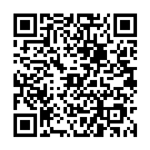 稀容和稀羽从今天开始就留在神针王医馆学习中医二维码生成