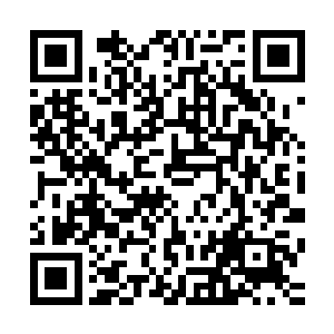 稳稳的按在了那一只即将要撕咬他喉咙的裂风狼的脑门上……二维码生成