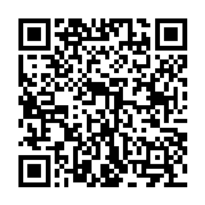 穆根他们如今是猛兽云集的军用训练系统内唯一的小白羊二维码生成