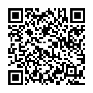 究竟是什么样的灾难令如此多的混沌兽和百族修士同时死亡二维码生成