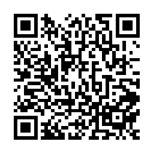 穿着一袭长裘的房先生原本正在书房的一张桌案之后浏览文卷二维码生成