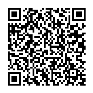 突然从林烽家一楼的大门又闯进来了一名同样是白发苍苍老教授模样的人二维码生成