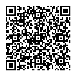 立即取出了几枚补血丹丢给了胡易人的……虽然那些耗损的元气无法完全弥补回来二维码生成